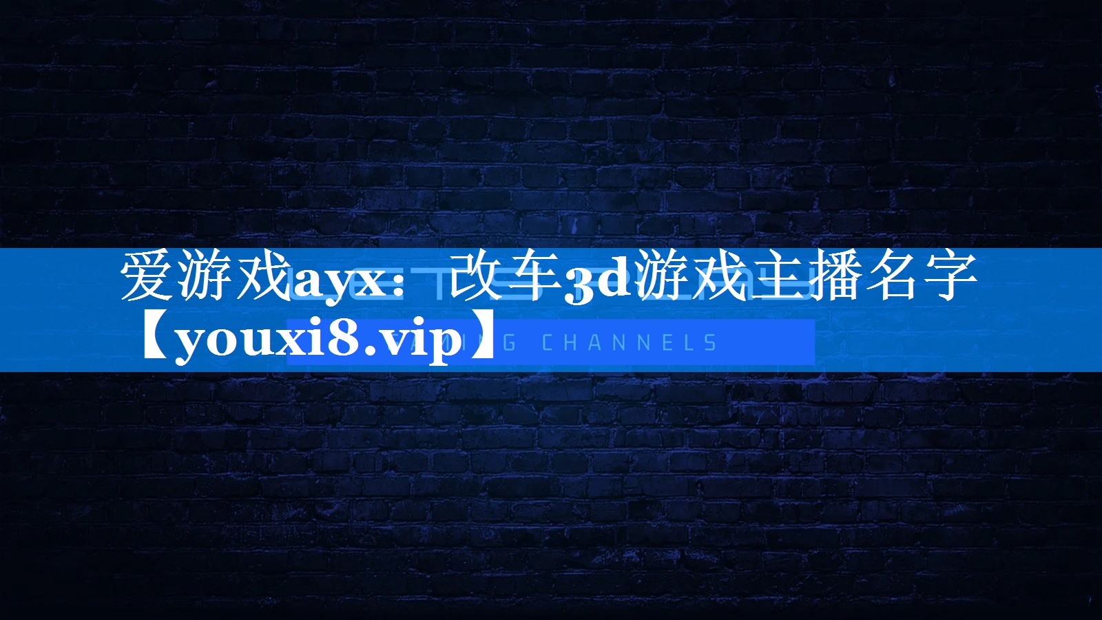 改车3d游戏主播名字 改车3d游戏主播名字